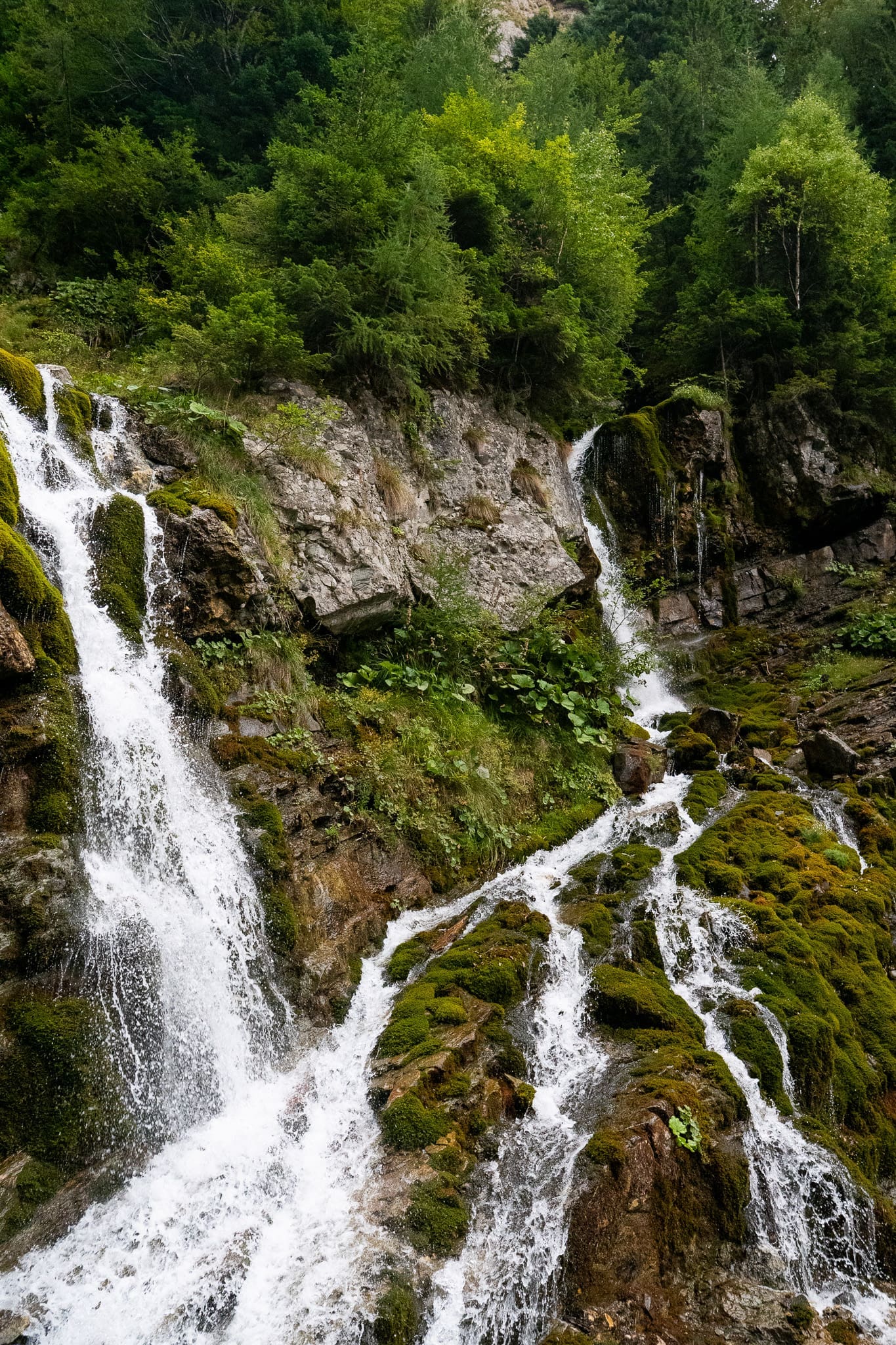 P1034504