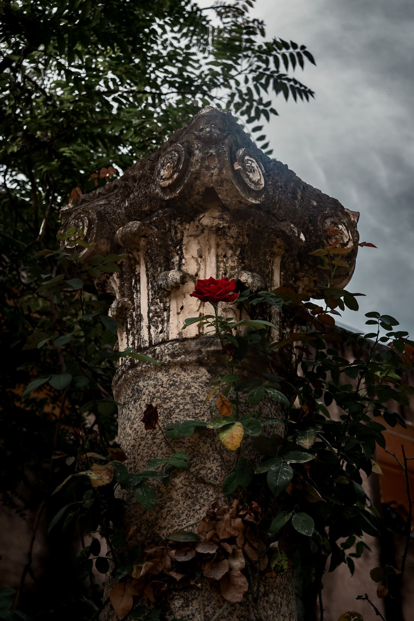 P1046316