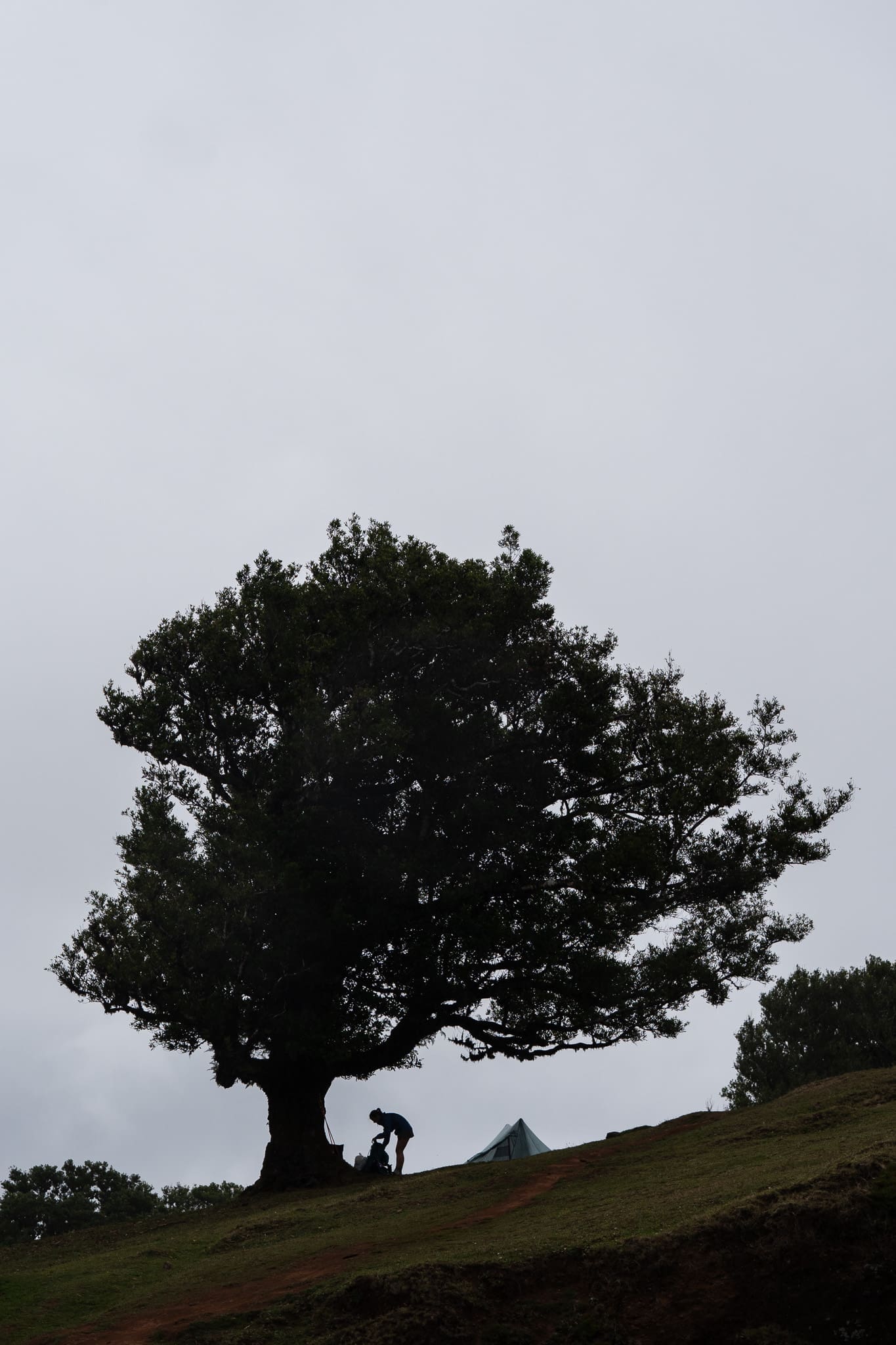 P1056662