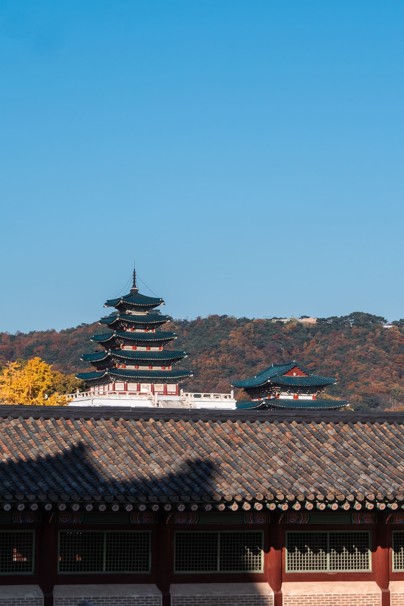 P1068151