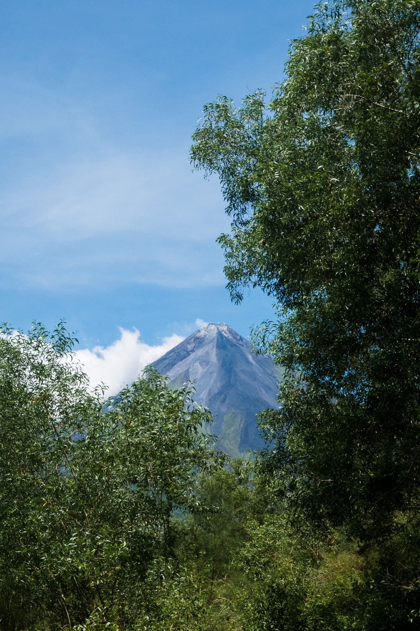 P1091353