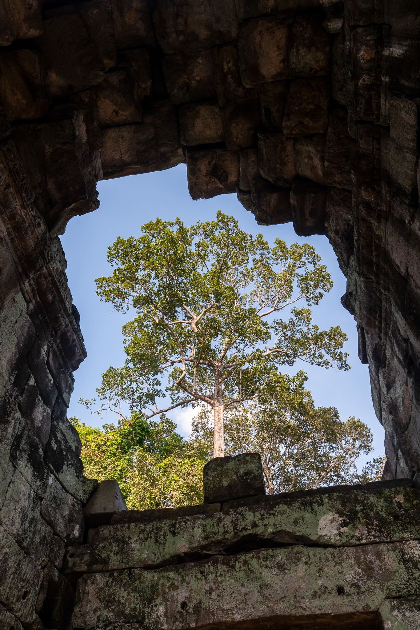 P1092675