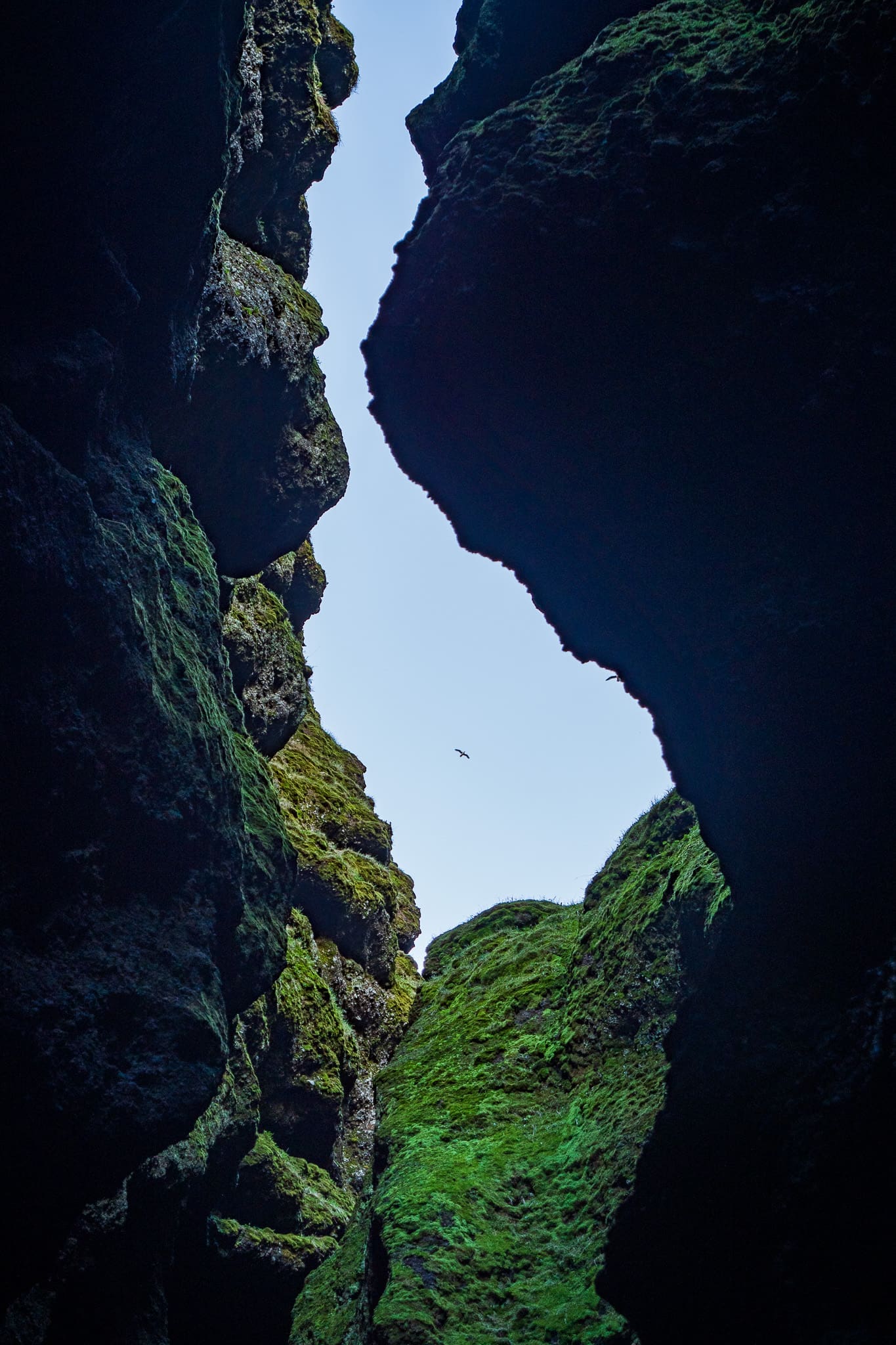 P1114718
